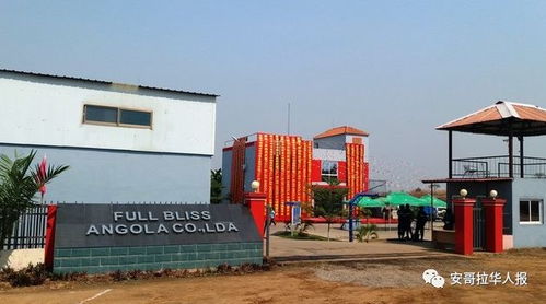 綠色發(fā)展新引擎 中國(guó)企業(yè)投資的廢品回收與塑料制品一體化工廠盛大開(kāi)業(yè)